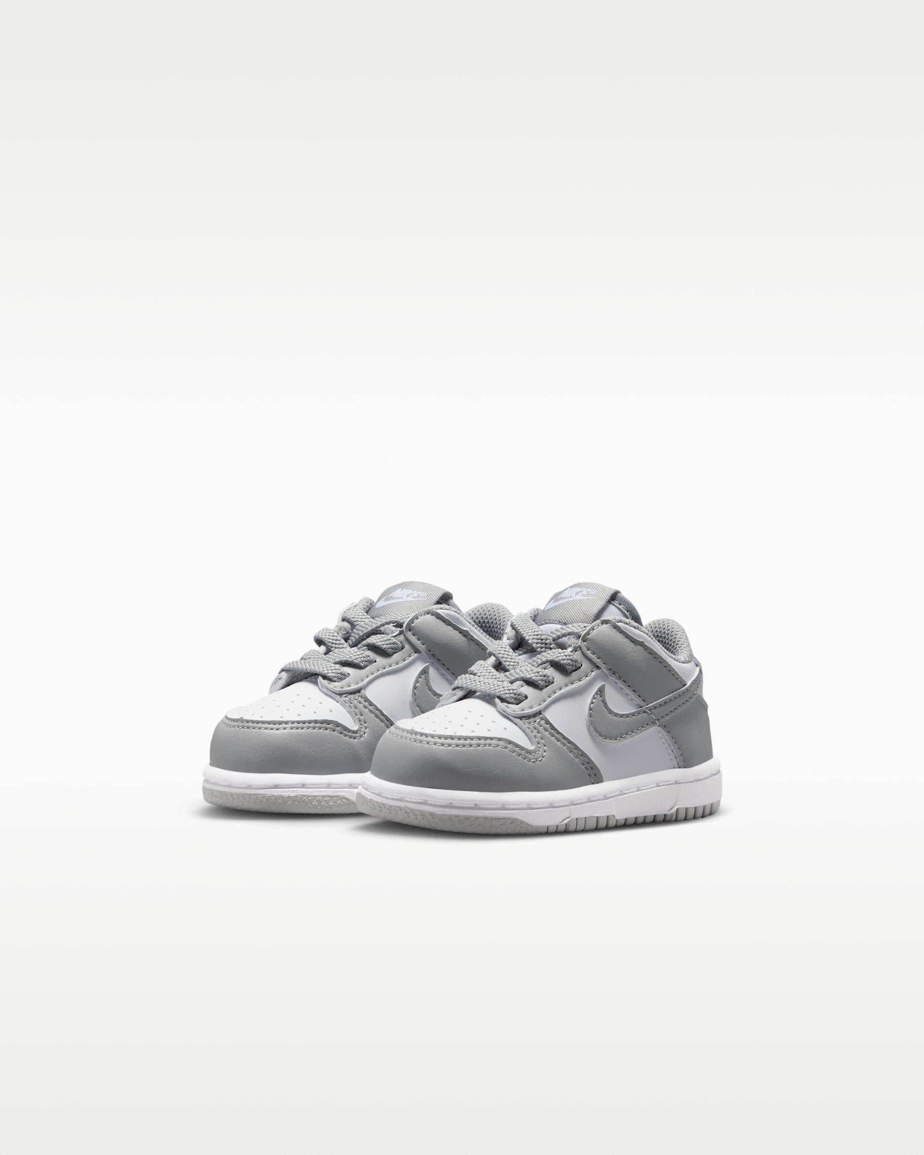 Nike Dunk Low1 (TDE)