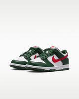 NIKE DUNK LOW (GS)