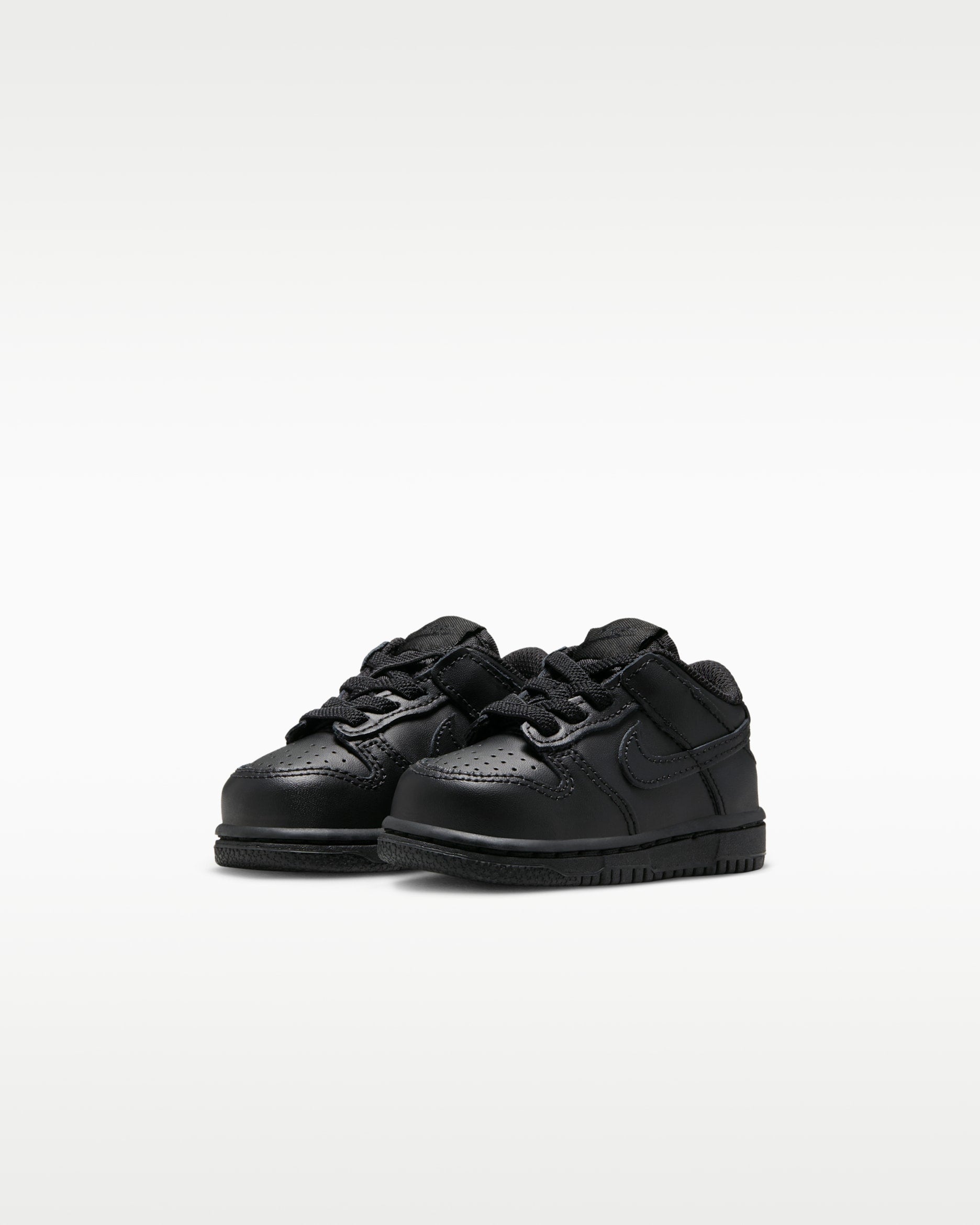 Nike Dunk Low (TDE)